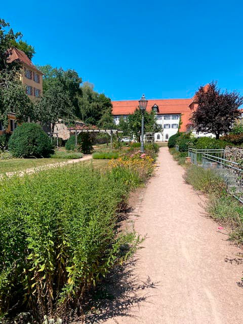 Pflege von Grünanlagen2 Pflege von Grünanlagen2